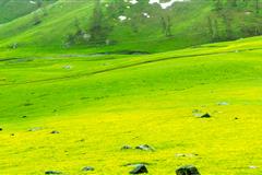 2017年6月新疆赛里木湖、夏特、八卦城、伊昭公路、霍城薰衣草、霍尔果斯、喀拉峻大草原、那拉提、独库公路巴音布鲁克、天山大峡谷旅行记